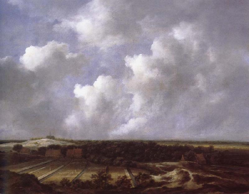 Jacob van Ruisdael View of the Dunes near Bl oemendaal with Bleaching Fields oil painting picture